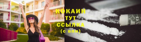 ГАЛЛЮЦИНОГЕННЫЕ ГРИБЫ Вязьма