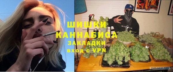 ГАЛЛЮЦИНОГЕННЫЕ ГРИБЫ Вязьма