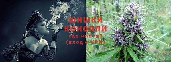 ГАЛЛЮЦИНОГЕННЫЕ ГРИБЫ Вязьма