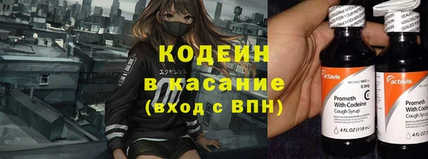 ГАЛЛЮЦИНОГЕННЫЕ ГРИБЫ Вязьма