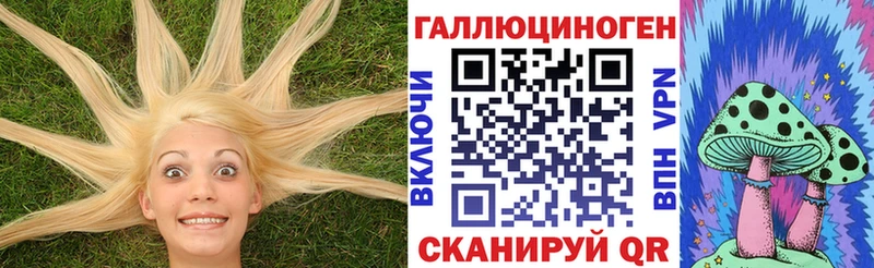 Галлюциногенные грибы Psilocybine cubensis  Купить закладки  Волхов 